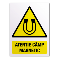 Indicatoare Pentru Campuri Magnetice Indicatoare Pentru Campuri Magnetice
