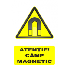 Indicatoare Pentru Camp Magnetic Indicatoare Pentru Camp Magnetic