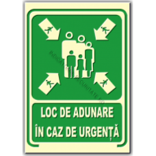 Indicatoare Luminoase Indicatoare Luminoase